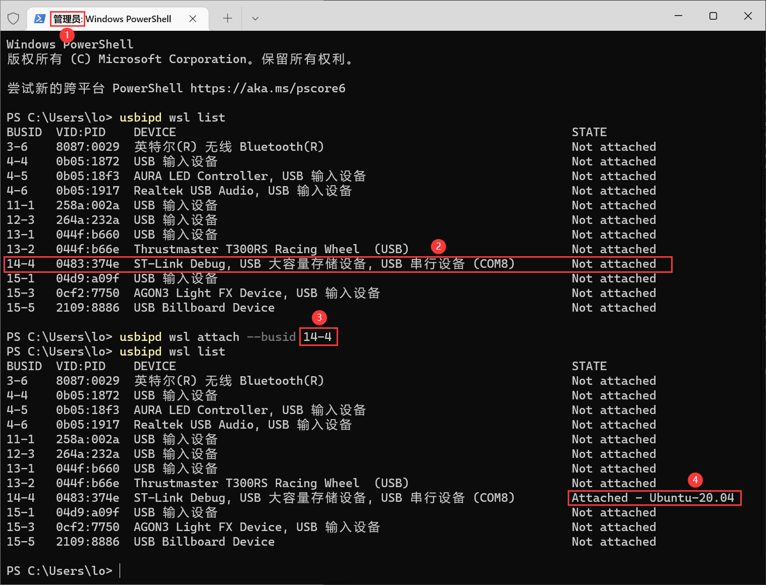 WSL2_USB_Windows